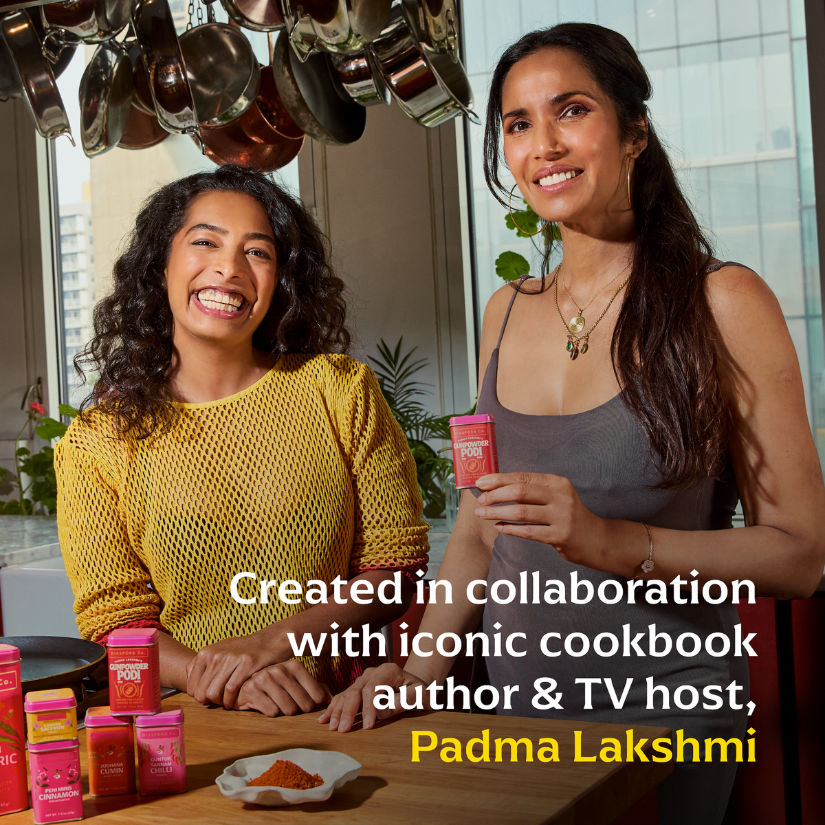 Padma Lakshmi's Gunpowder Podi (Spice Blend)