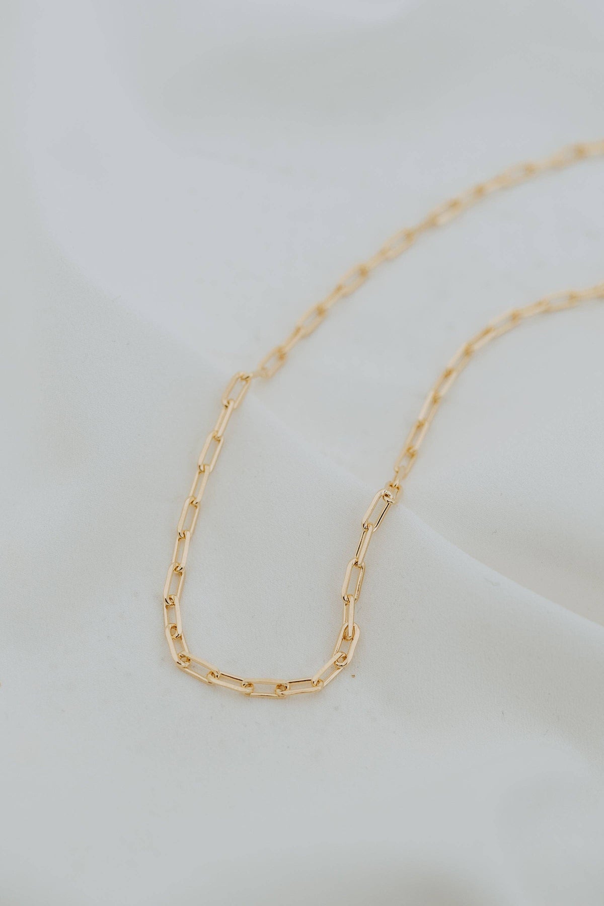Standard Paperclip Necklace