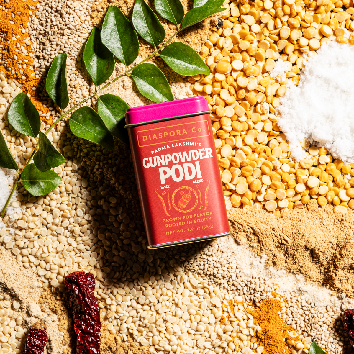 Padma Lakshmi's Gunpowder Podi (Spice Blend)