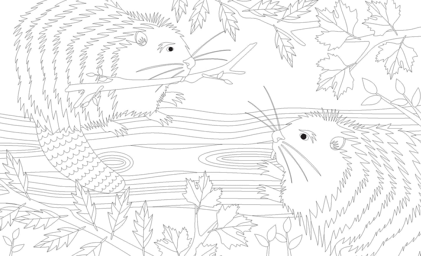 Joy of Mindfulness Colouring
