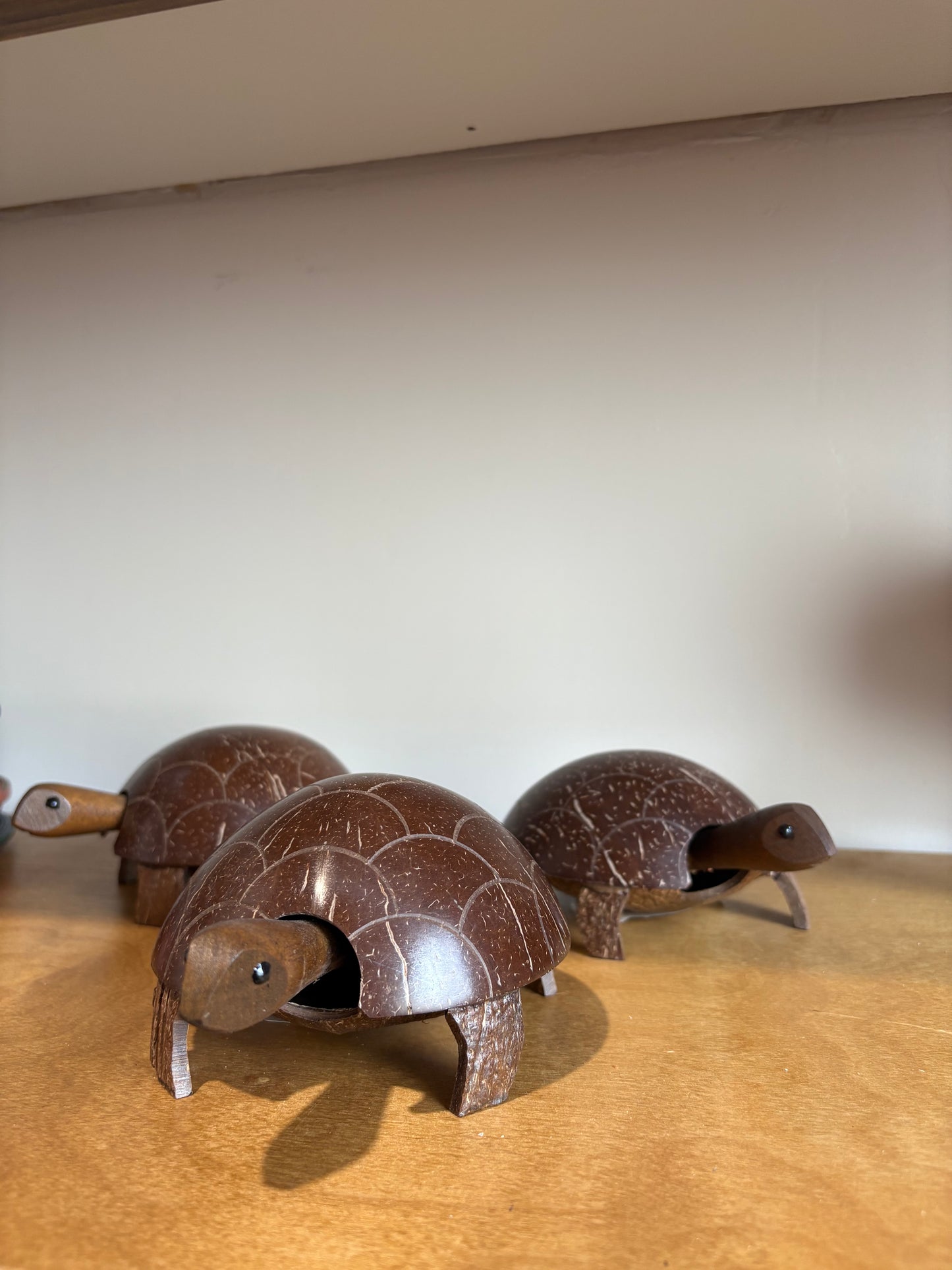 Coconut Turtle