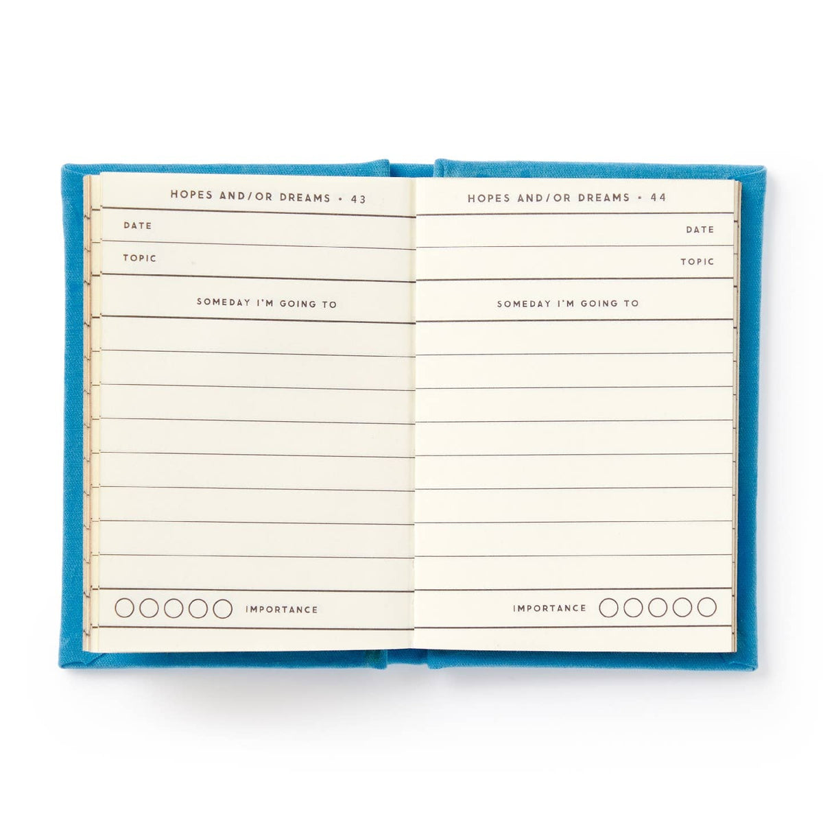 Tiny Hopes And Dreams Tiny Diary