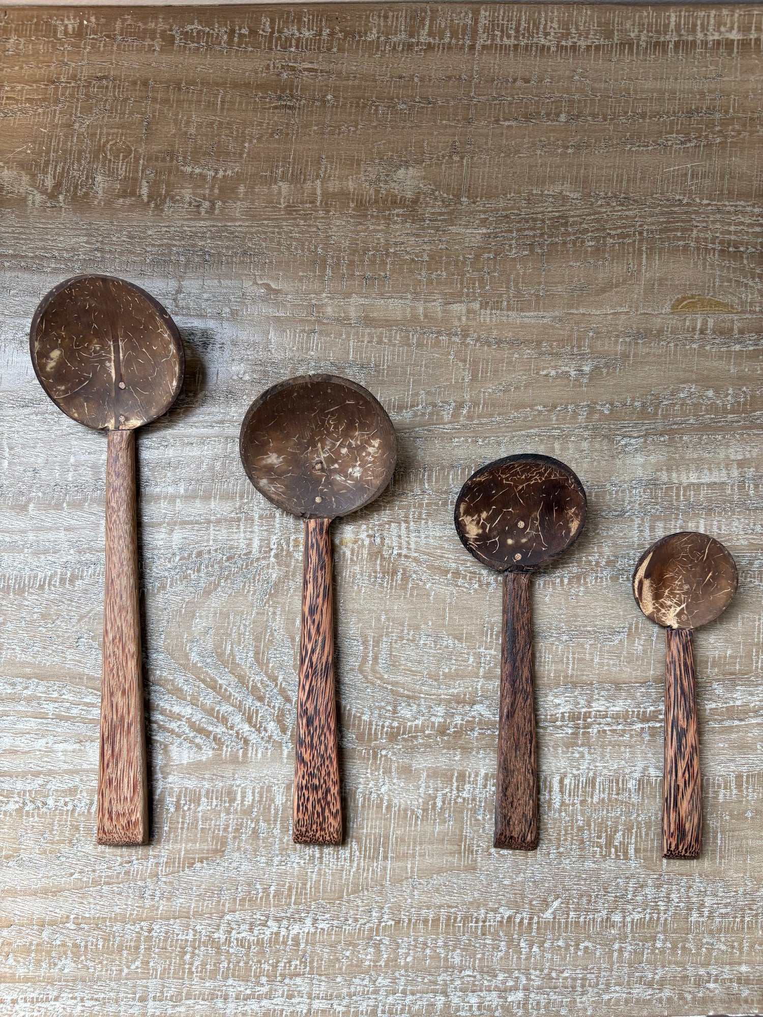 Coconut Collection