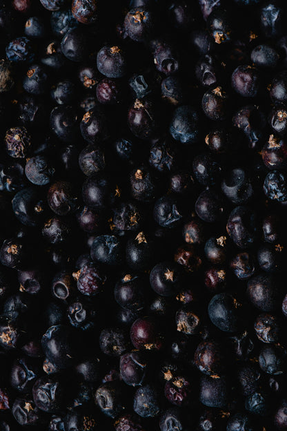 Black Violet + Blonde Woods - Coconut Wax 8oz Candle | Captivating Spice Floral Leather