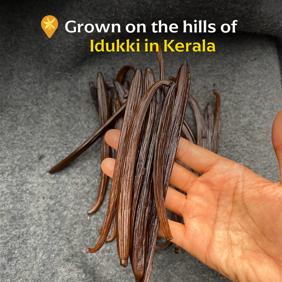 Kaveri Vanilla (Whole Beans) - Single-Origin Spice