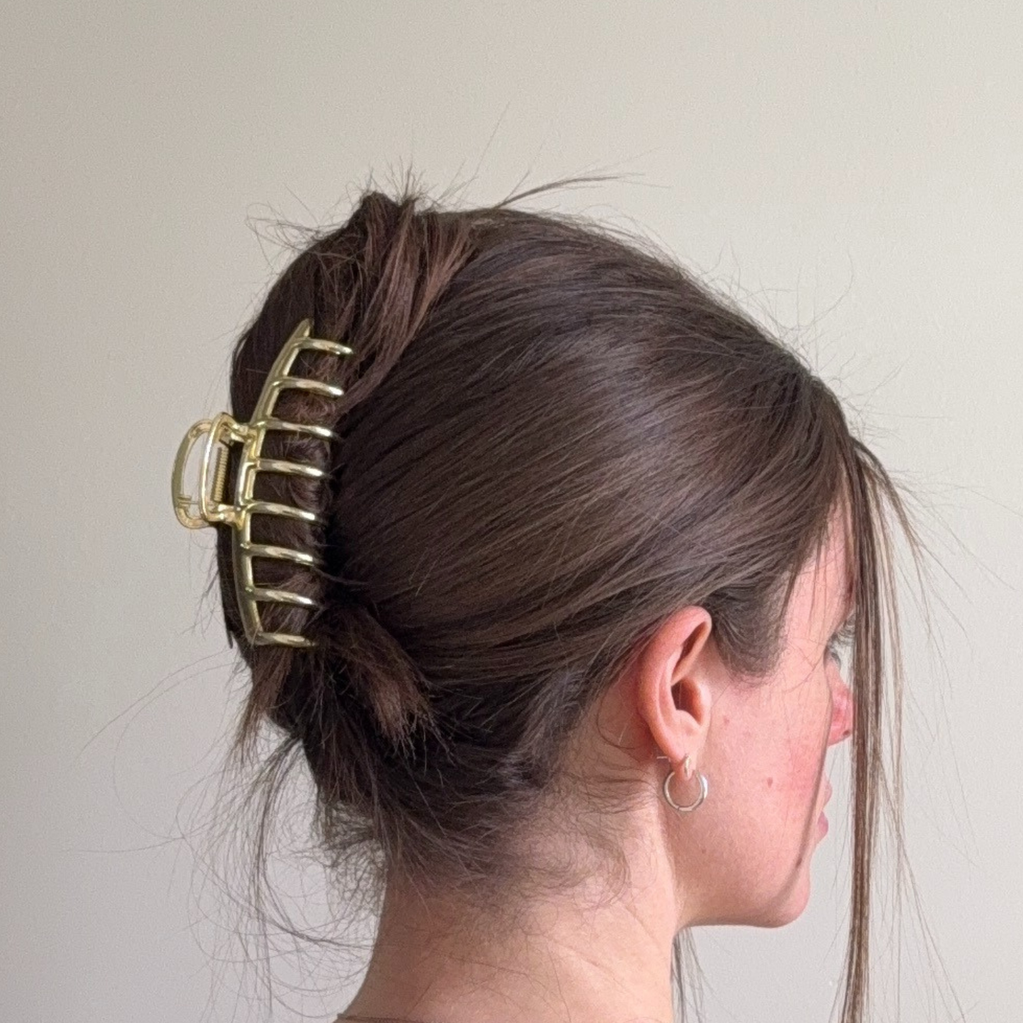 Cho Metal Hair Claw Clips