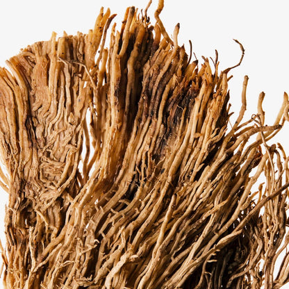 Black Violet + Blonde Woods - Coconut Wax 8oz Candle | Captivating Spice Floral Leather