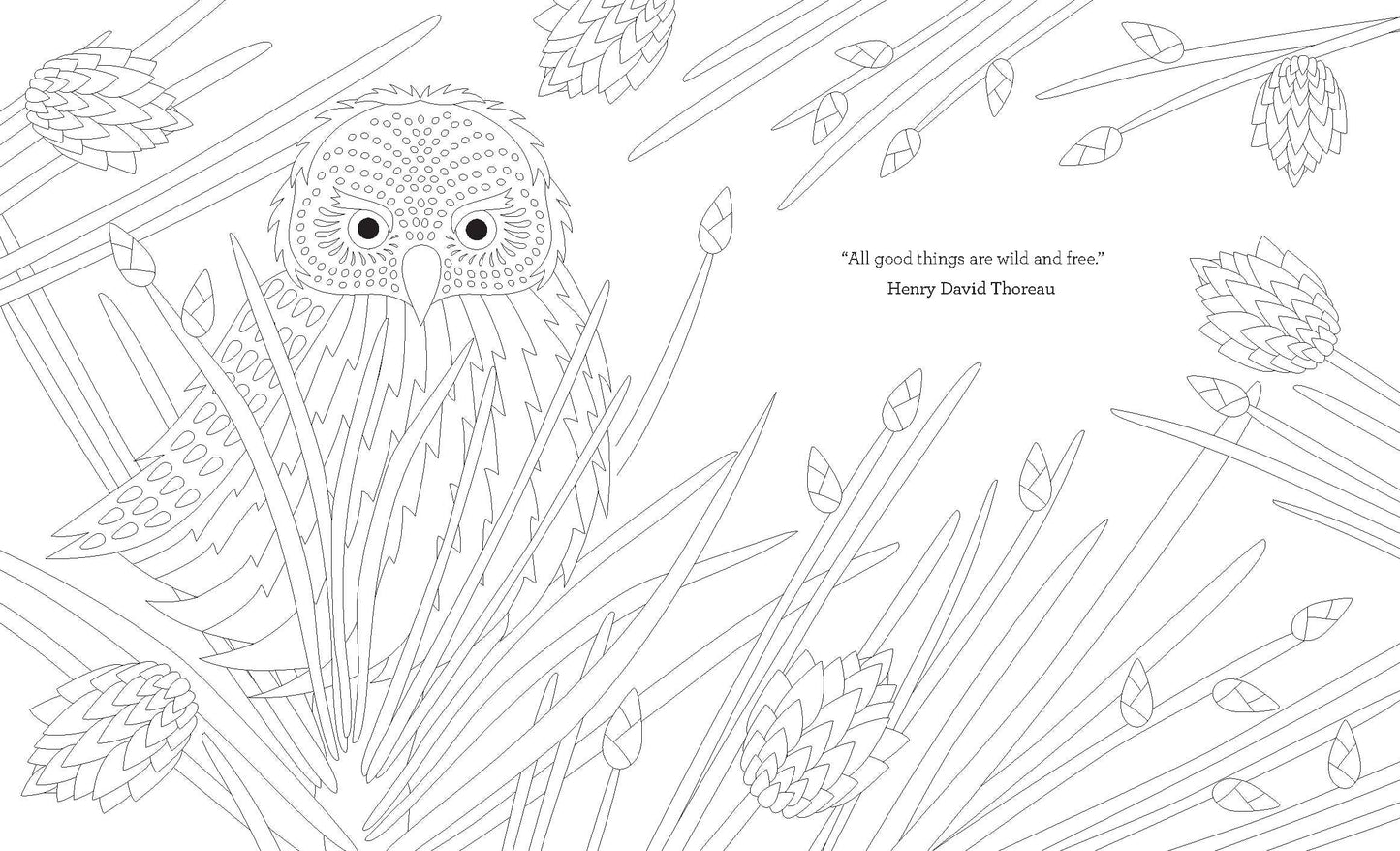 Joy of Mindfulness Colouring