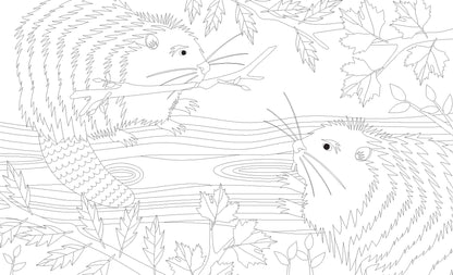 Joy of Mindfulness Colouring