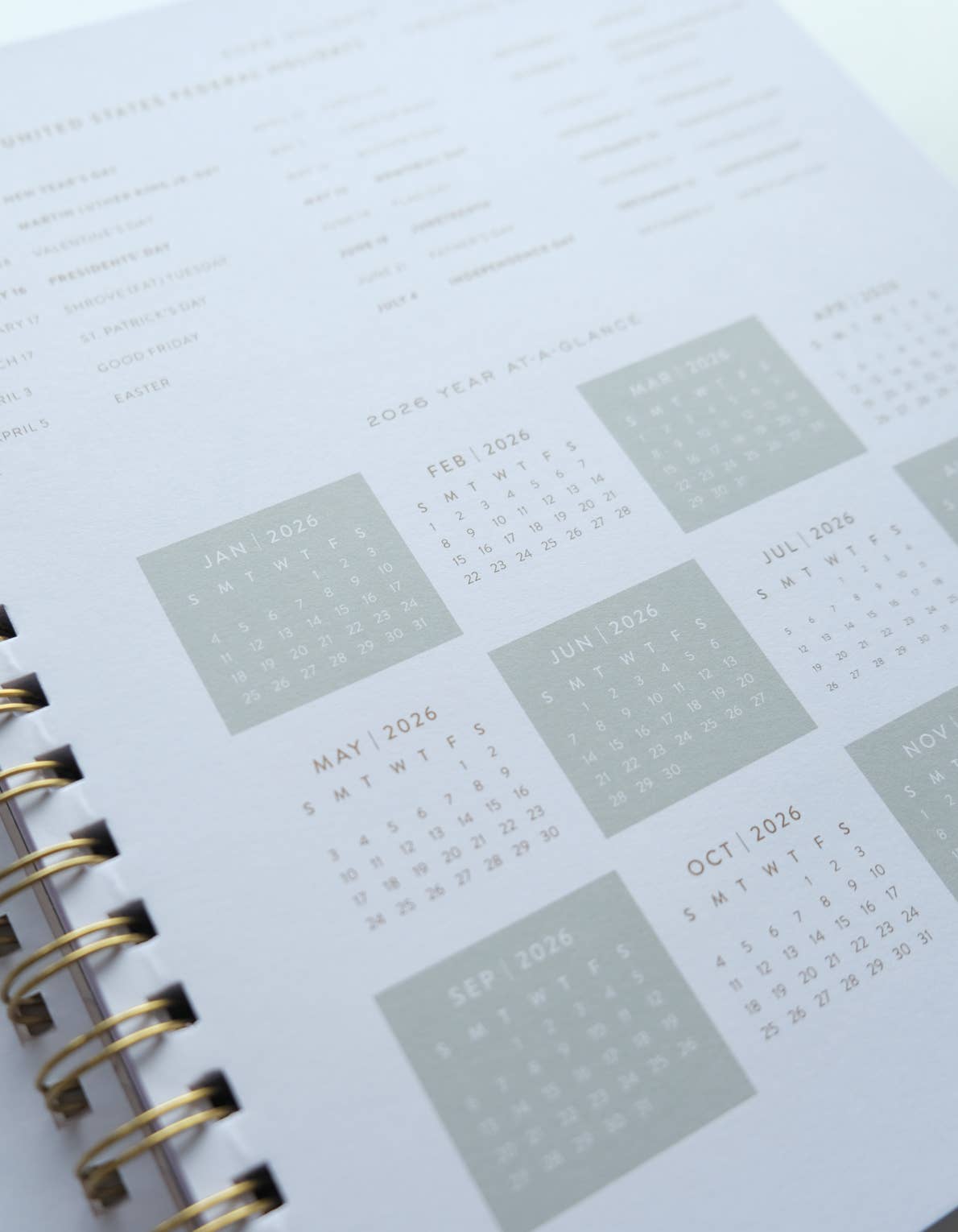 Primary Blooms | 2026 Softcover Planner