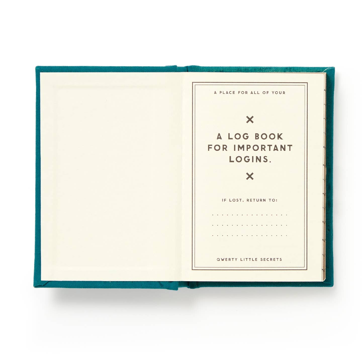 Definitely Not My Passwords Tiny Diary