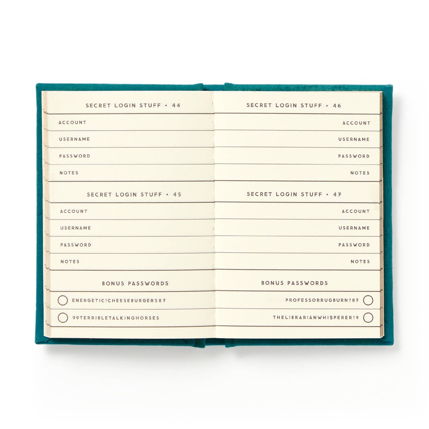 Definitely Not My Passwords Tiny Diary