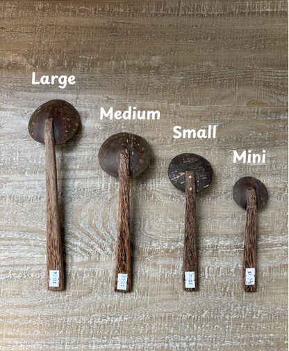 Handmade Coconut Shell Wooden Spoon (Mini)