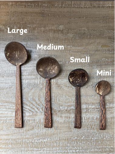 Handmade Coconut Shell Wooden Spoon (Mini)