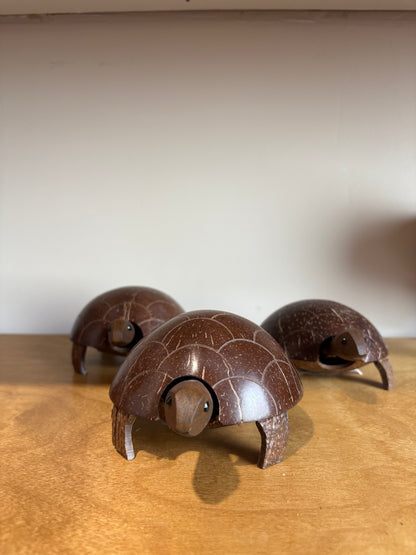 Coconut Turtle