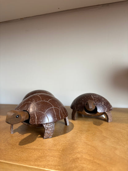 Coconut Turtle