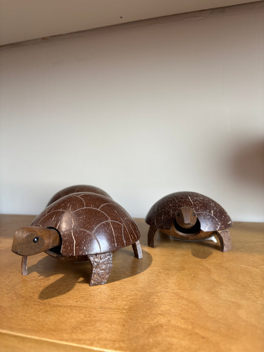 Coconut Turtle