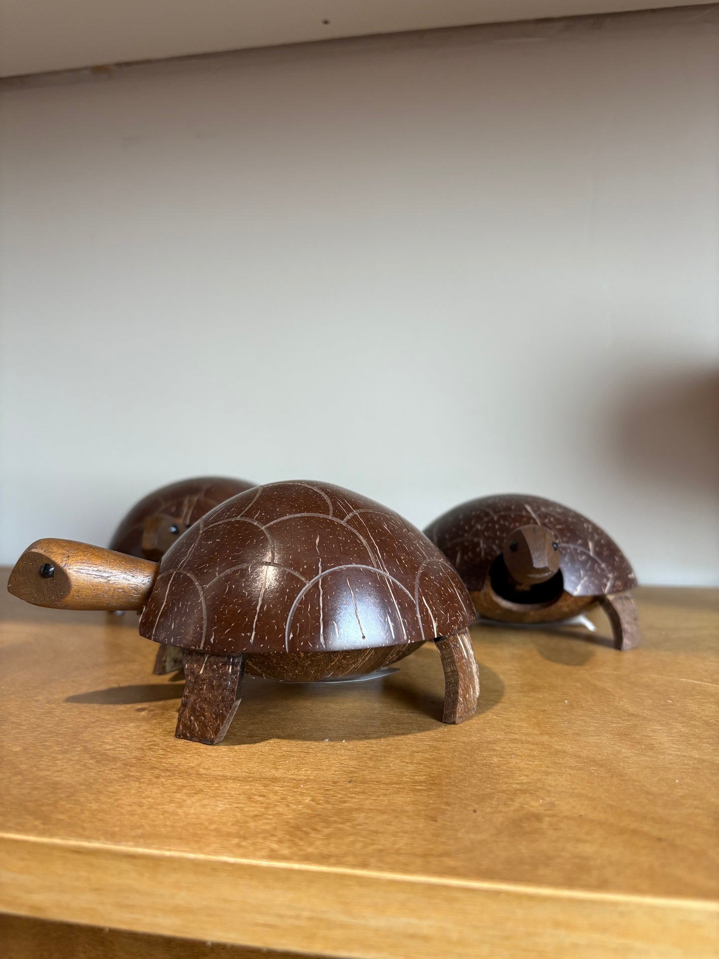 Coconut Turtle