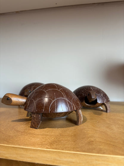 Coconut Turtle