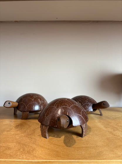 Coconut Turtle