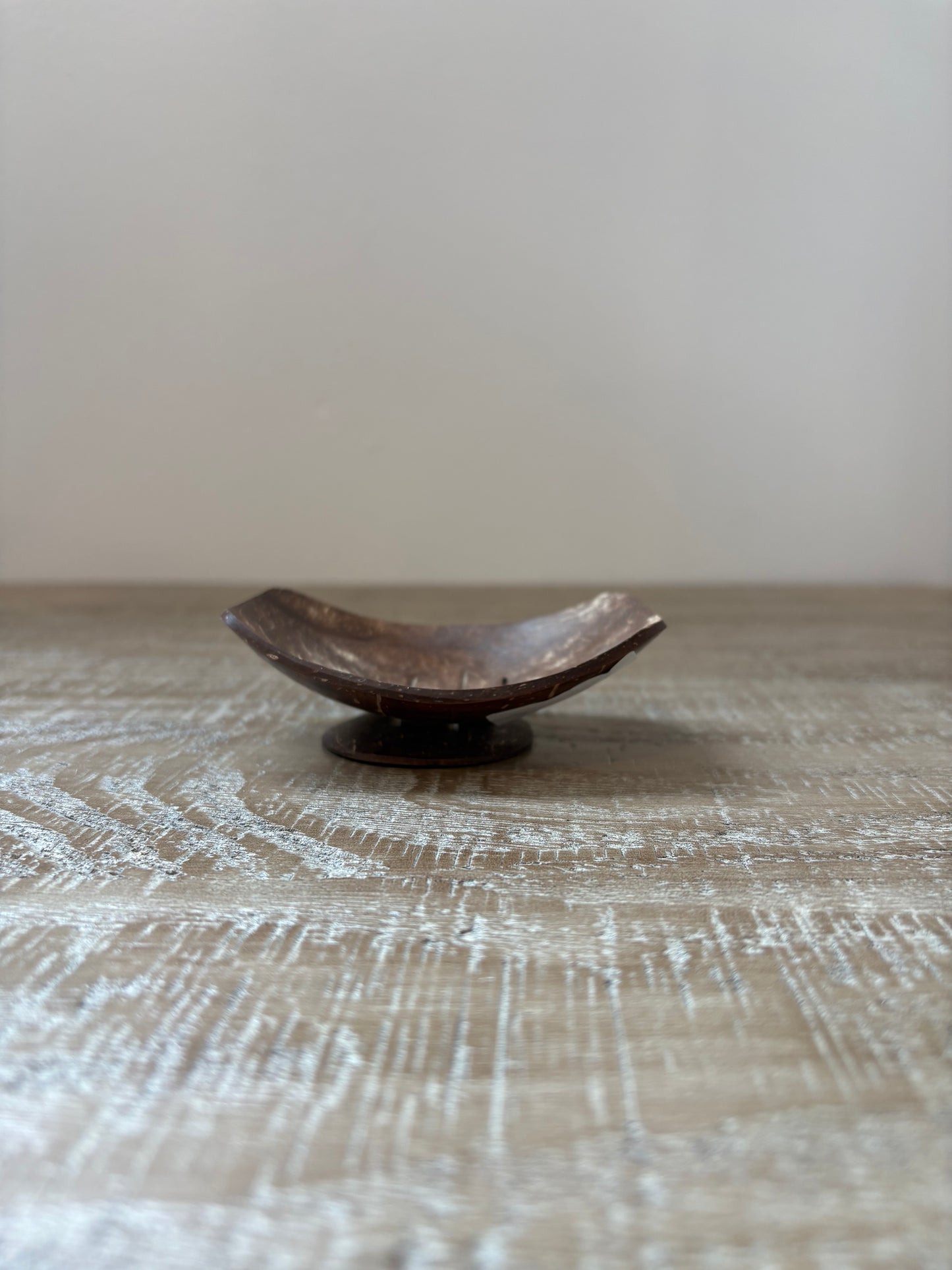 Handmade Coconut Shell Soap Dish w/ stand