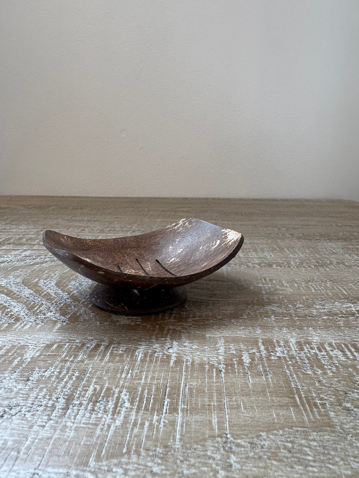 Handmade Coconut Shell Soap Dish w/ stand