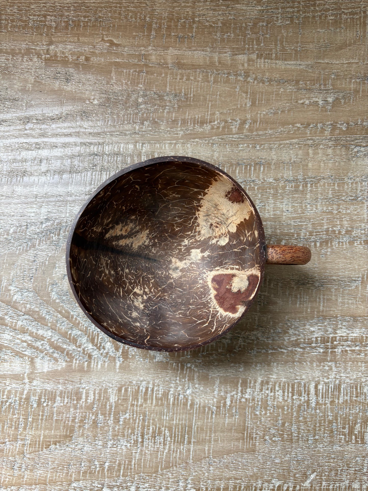 Coconut Shell Cups