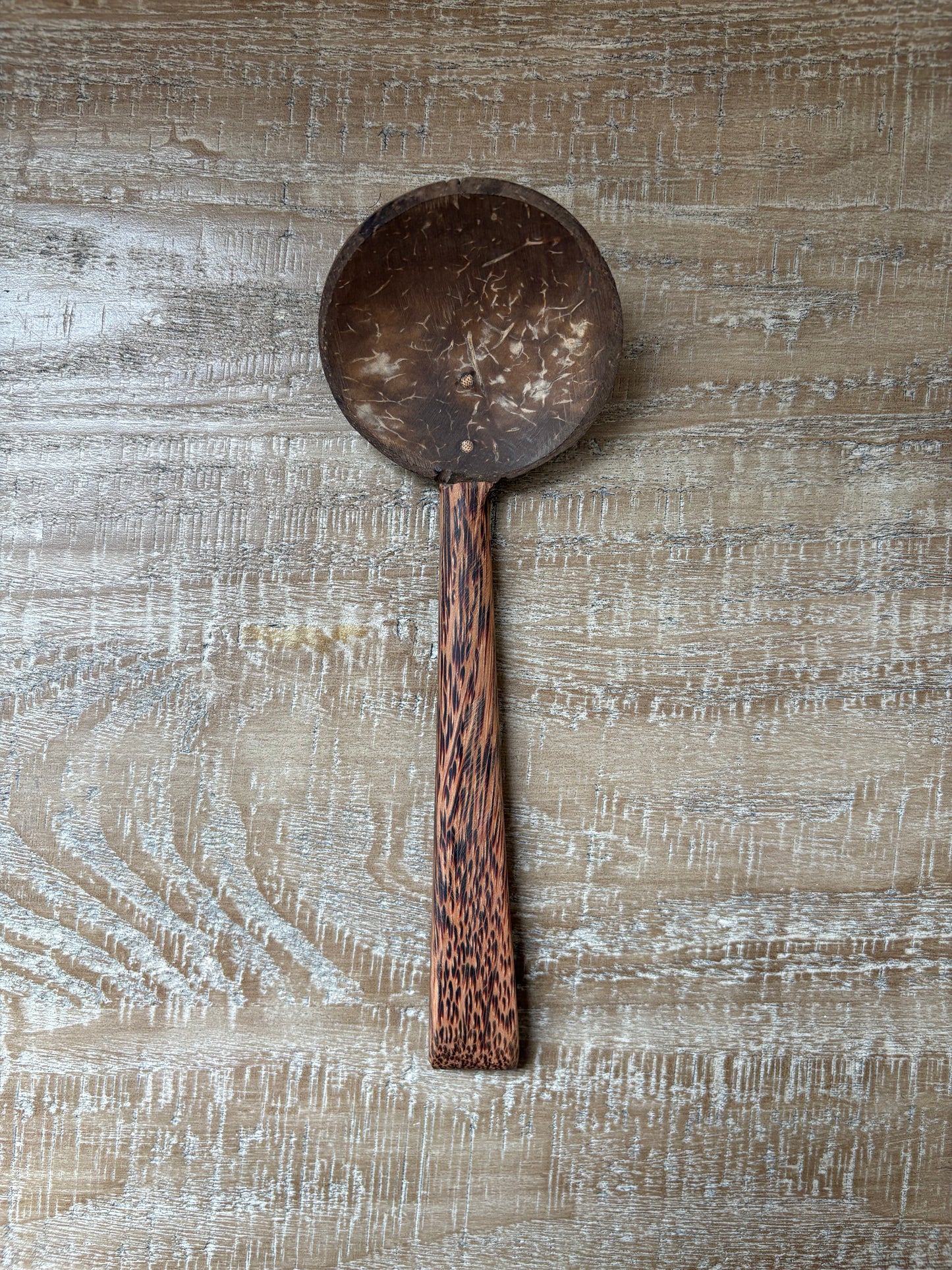 Handmade Coconut Shell Wooden Spoon (Medium)
