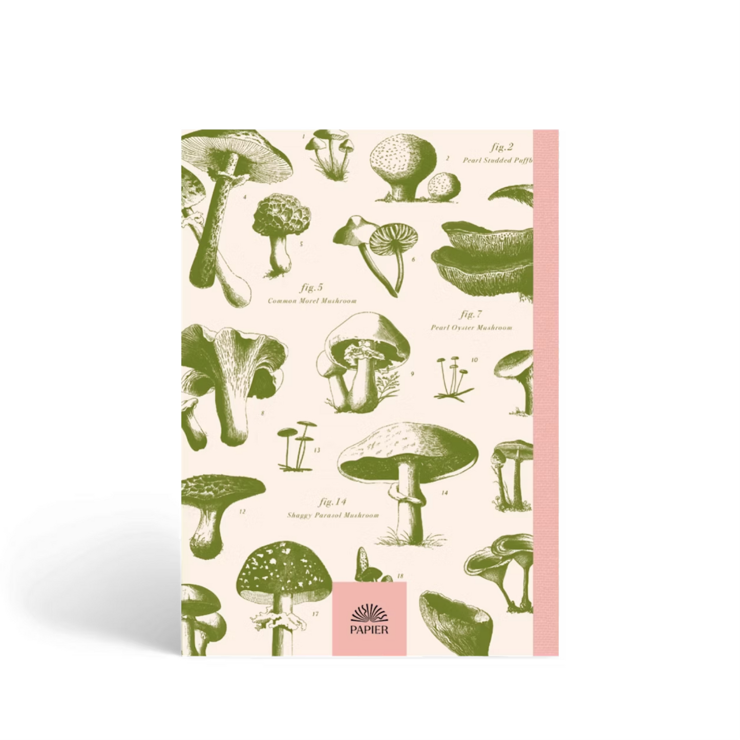 Mushroom Guided Recipe Journal