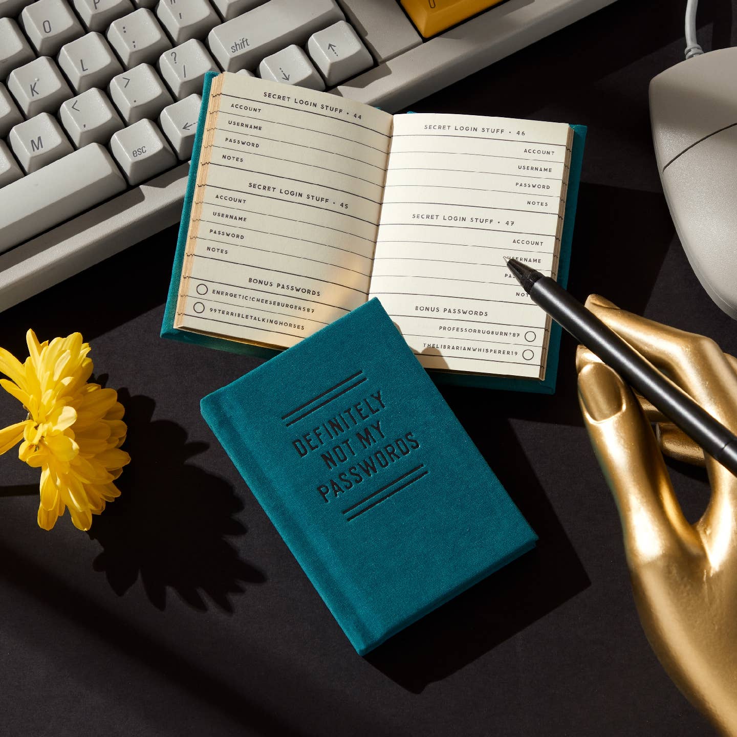 Definitely Not My Passwords Tiny Diary