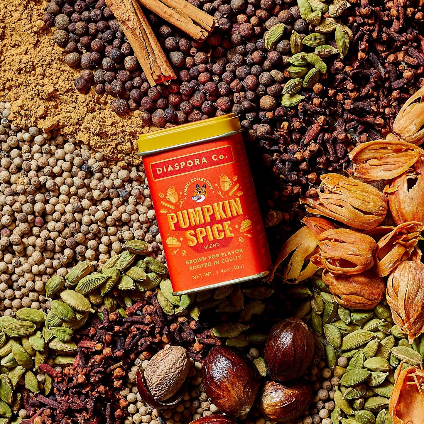 Pumpkin Spice (Spice Blend) - For Lattes & Baking